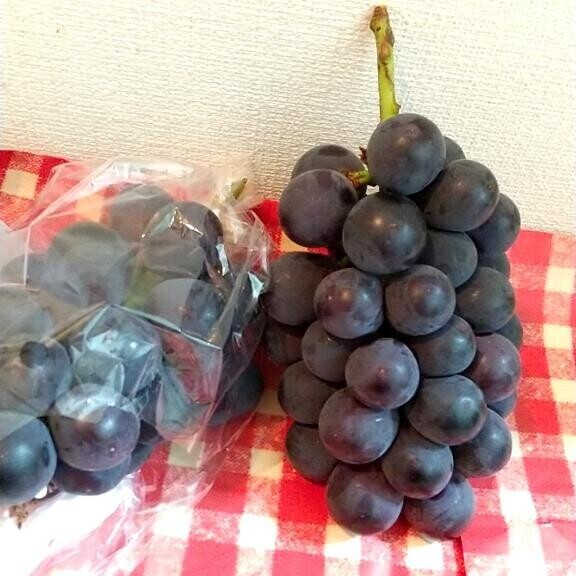この時期の楽しみ