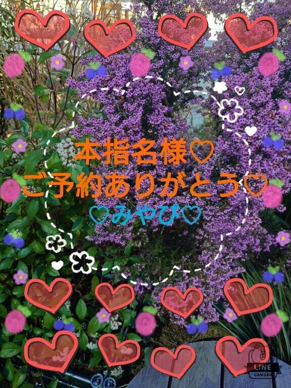 本指名再会ご予約ご自宅様?