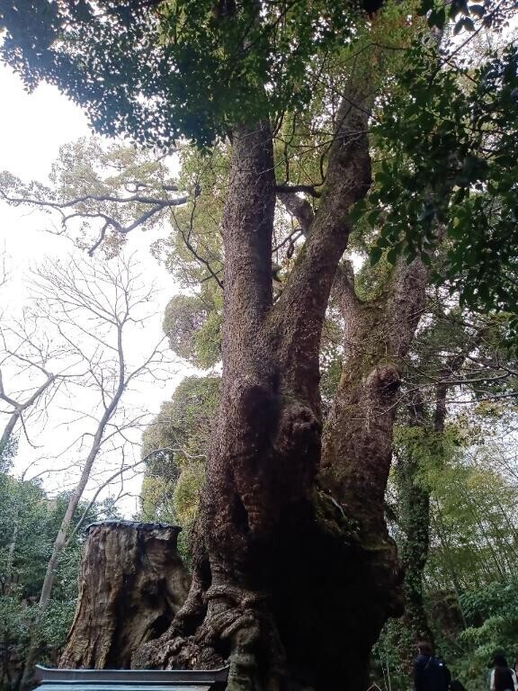 本日出勤します。