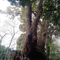 常盤ゆうな