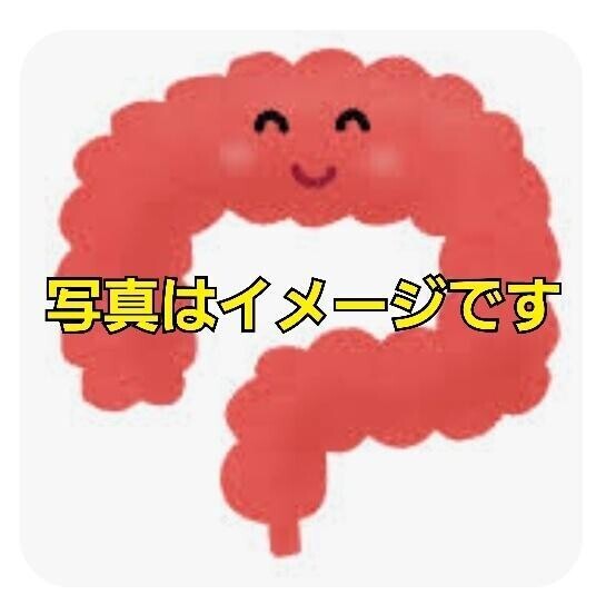 [お題]from:ヨーグルトさん