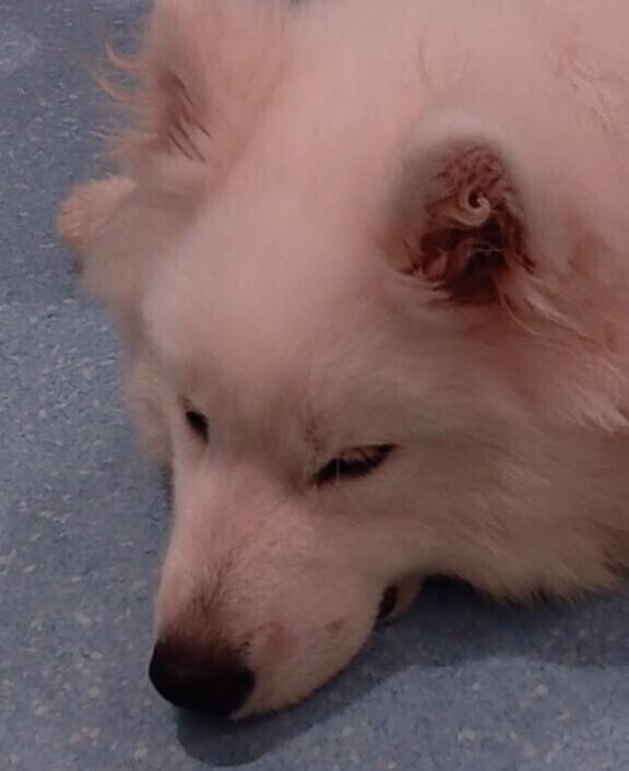 ホットココアで