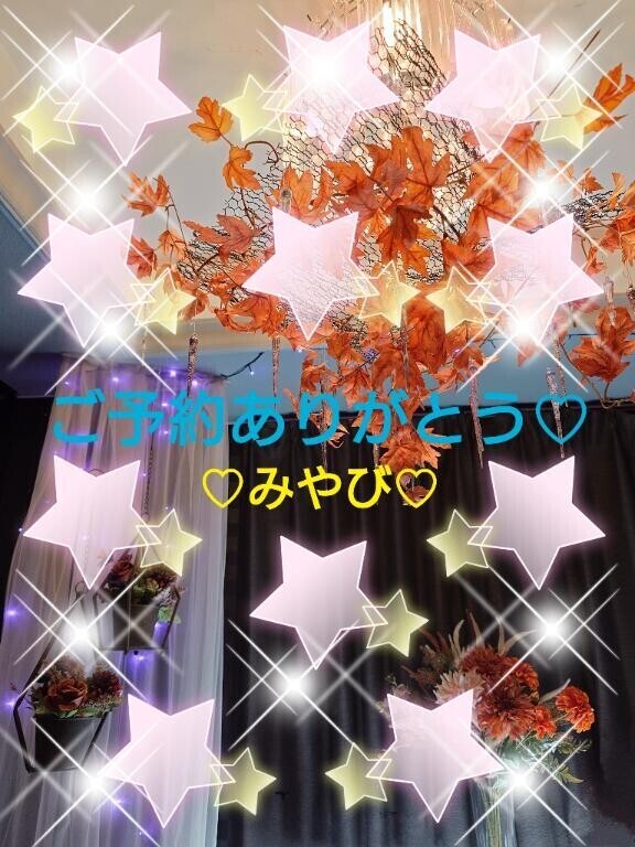 はじめましてハイビスカス様?