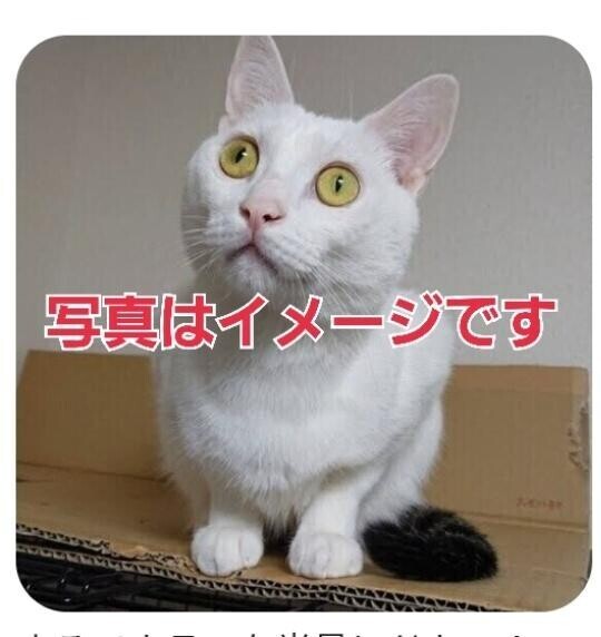 [お題]from:怖いんだけどさん