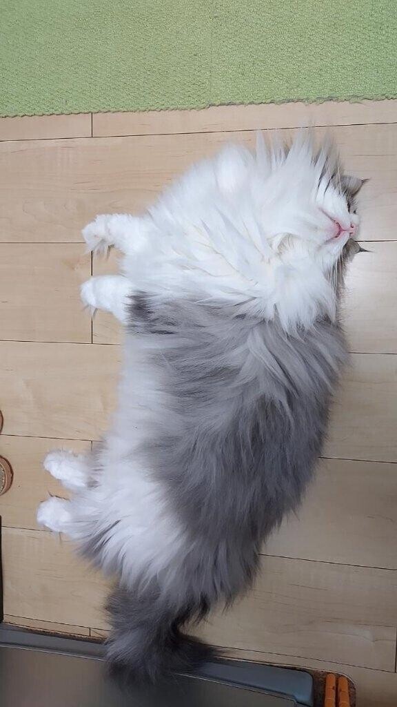 もう…