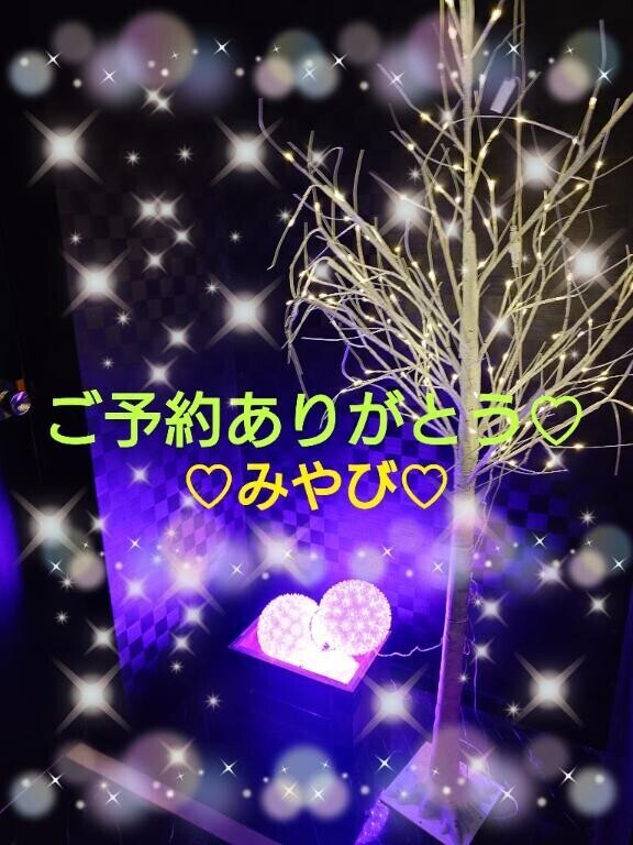 はじめましてハイビスカス様?