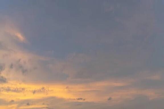 予定ねね