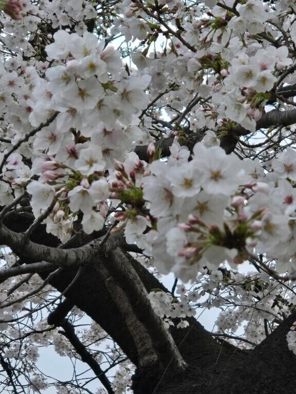 仲良しさんへ