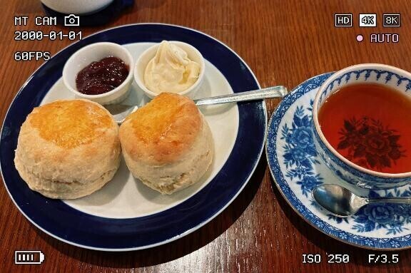 新種の写メ日記たち