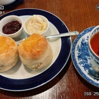 新種の写メ日記たち