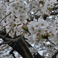 キャンセル発生?