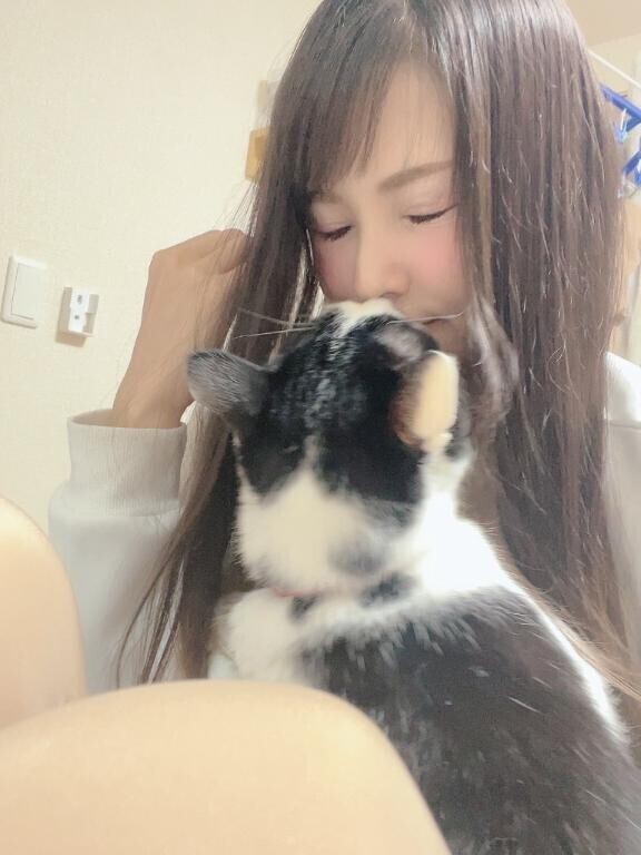 いつもの日課