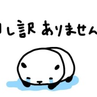 申し訳ございません?