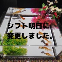 おはようございます?