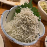 いきなりっっ