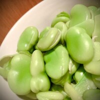 豆ねね