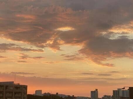 ではねね