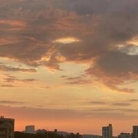 ではねね