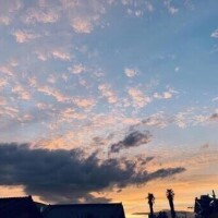 早朝ねね