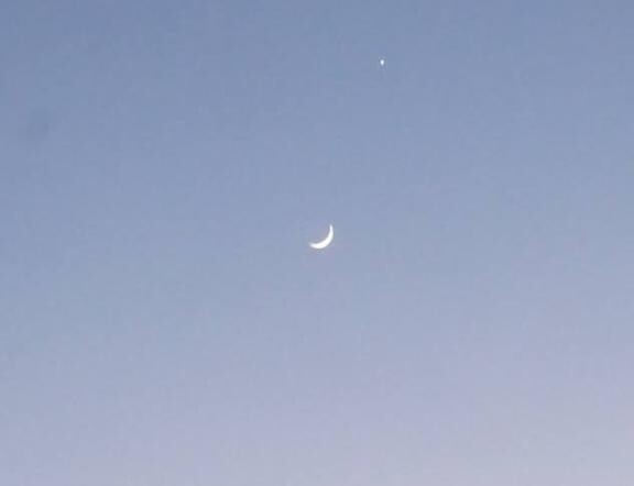 月ねね