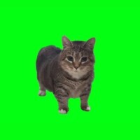 ももか