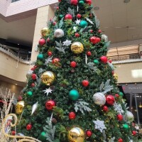 おはようございます。