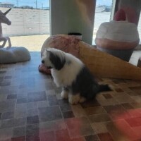 12月のご予約。