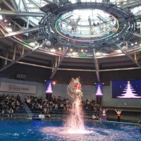 おはようございます。