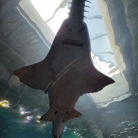 情熱と冷静の間。