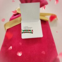 愛しのサンタさん。