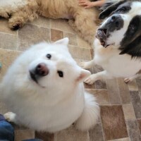 ラブレターの前に。