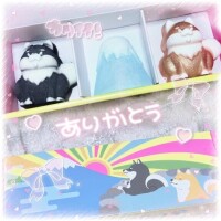 ワンコのしゅわぼむ