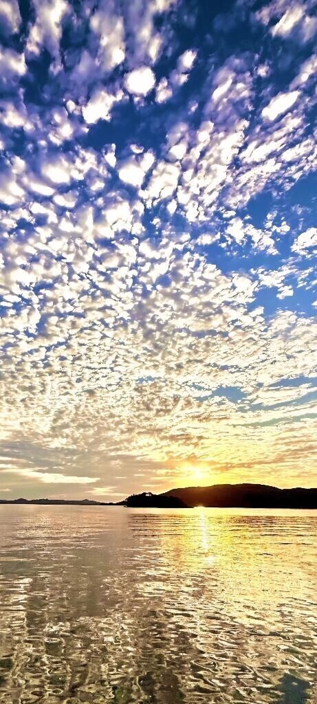 また明日更新します。