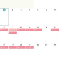 今日から居ます?????