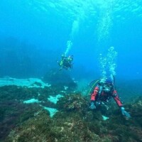 ダイバーの休日