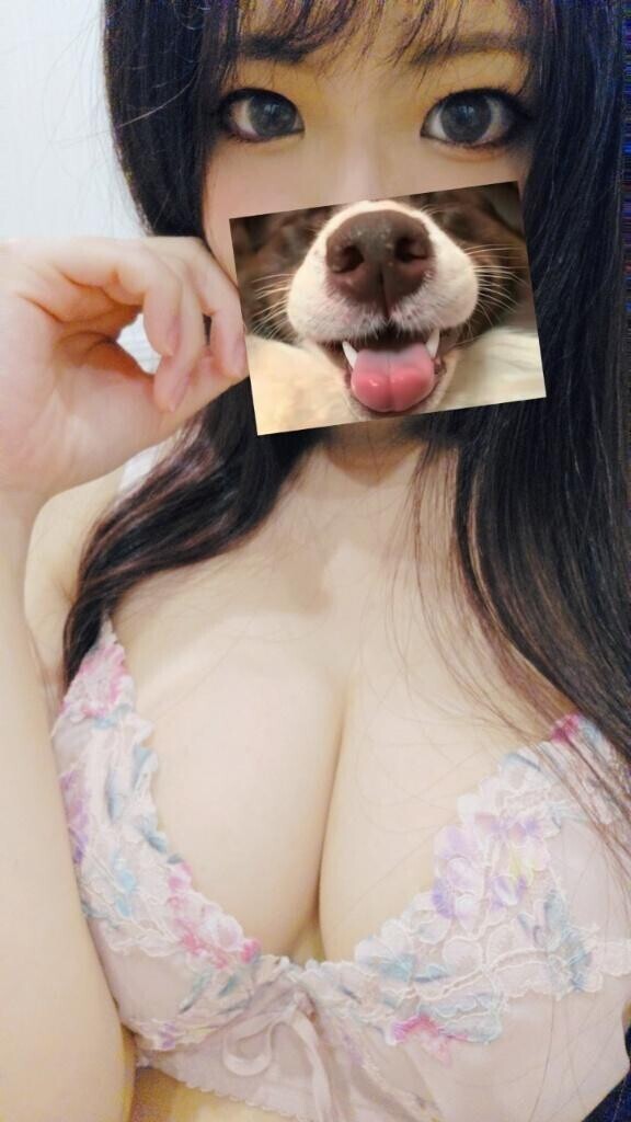 どにいく？？なにする？？