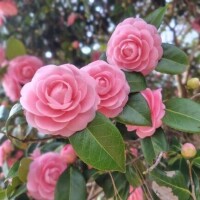 続きはまた明日。