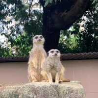 お馬鹿なできごと