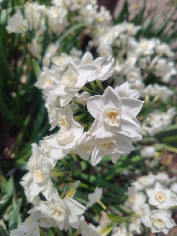 おはようございます。