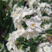 おはようございます。