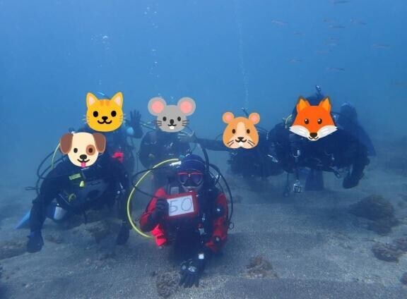 ダイバーの休日