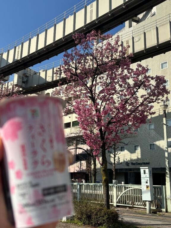 お休み頂きました