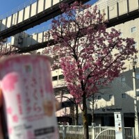 お休み頂きました