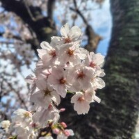 おはようございます。