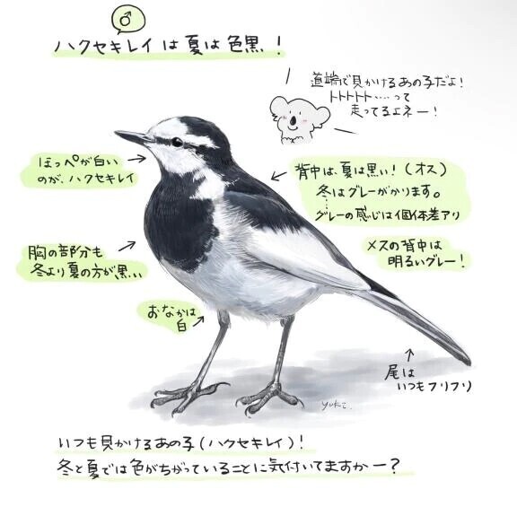 すき…………💕
