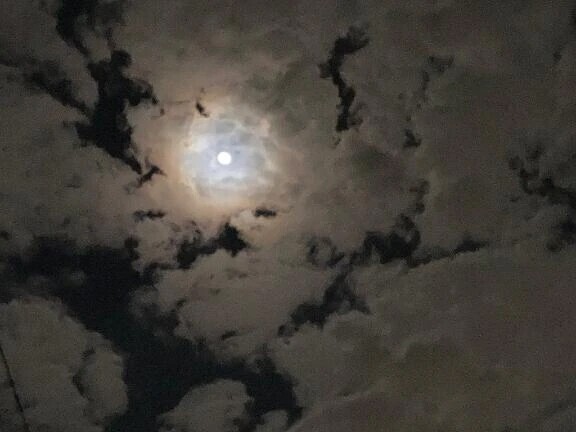 予定🙇