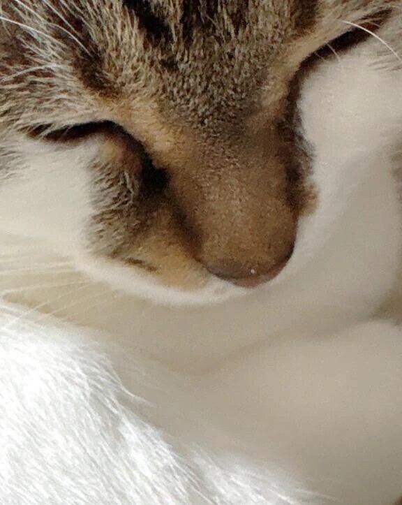 イッてまう〜❤️