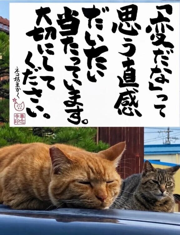 よくわかるマン