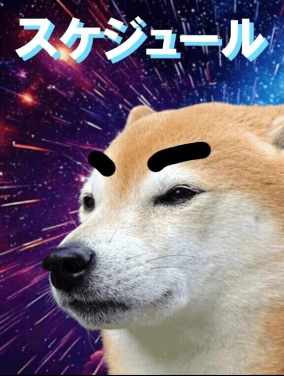 8月前半までの🌻