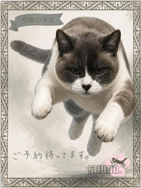 ちぇけちぇけたいむ☝️